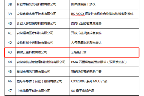 恭喜！云智能印章入选安徽省第九批信息消费创新产品名单！(图3)
